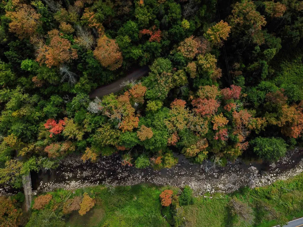 6 Meadowbrook Lane Chelsea VT 05038