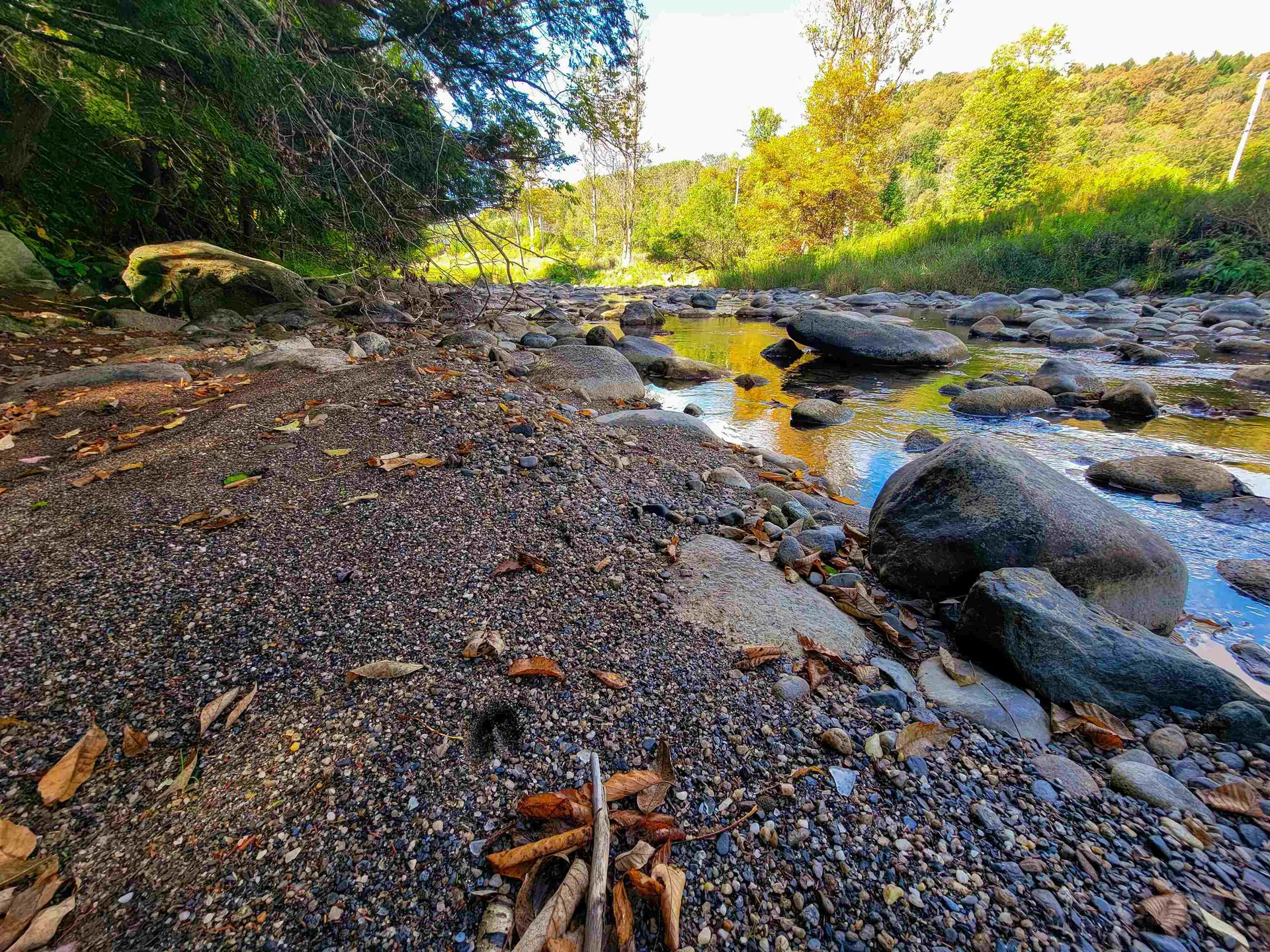 6 Meadowbrook Lane Chelsea VT 05038