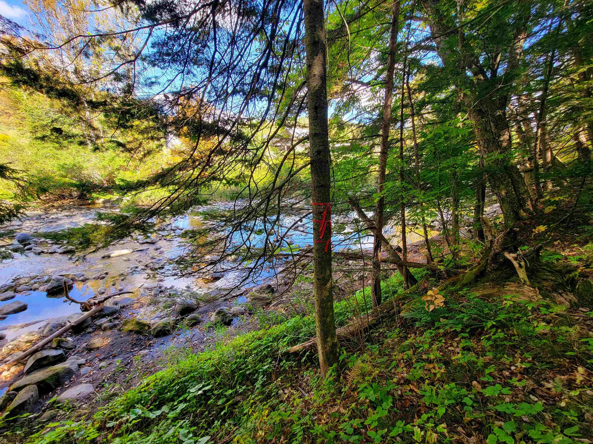 6 Meadowbrook Lane Chelsea VT 05038