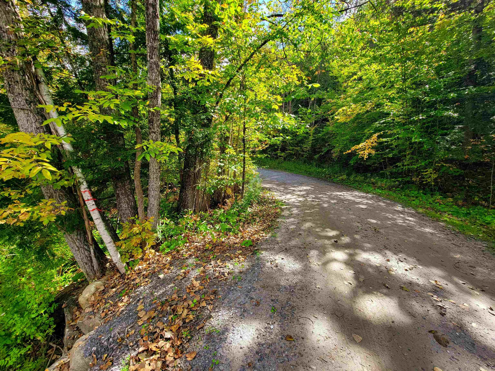 6 Meadowbrook Lane Chelsea VT 05038