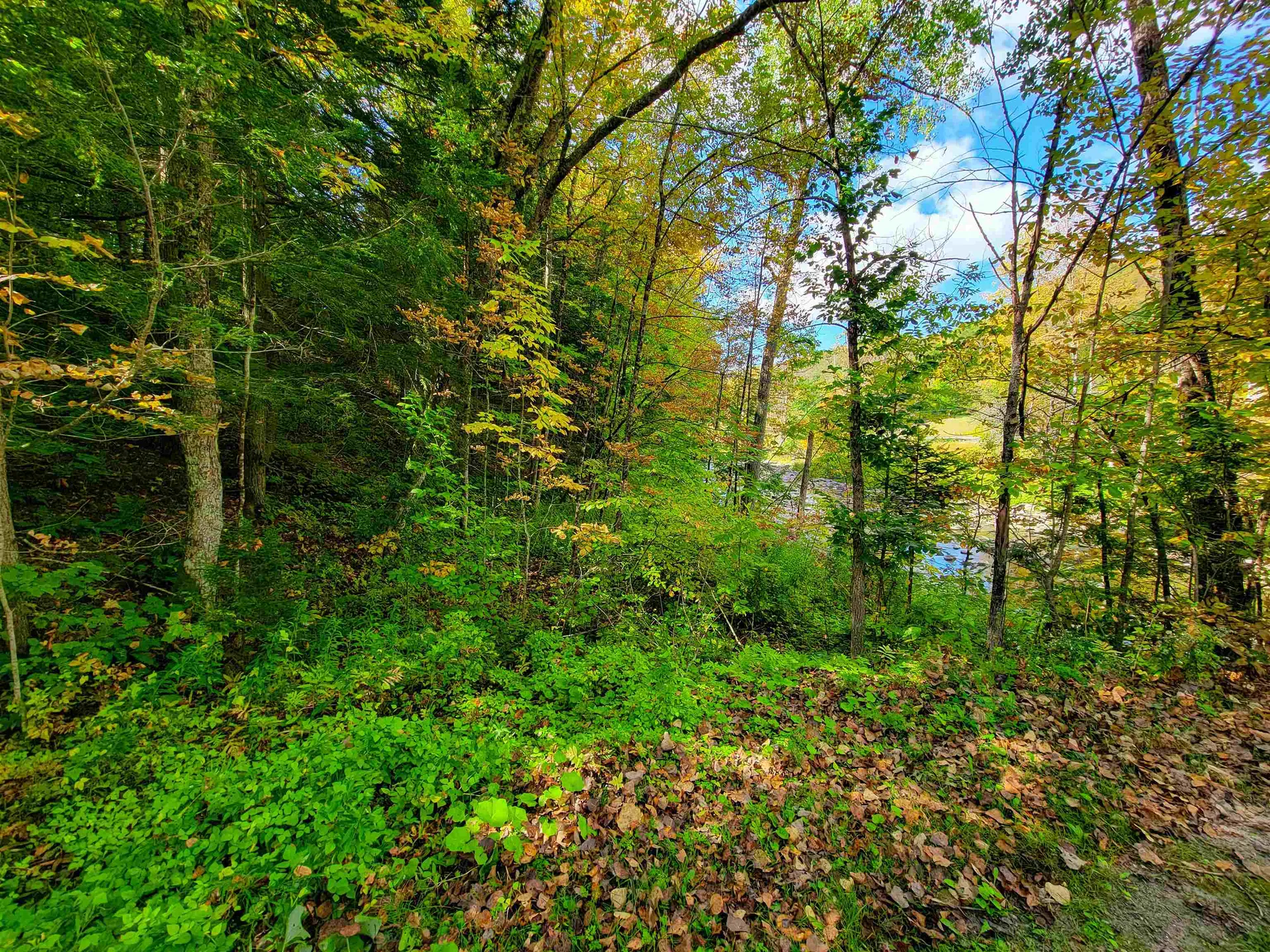 6 Meadowbrook Lane Chelsea VT 05038