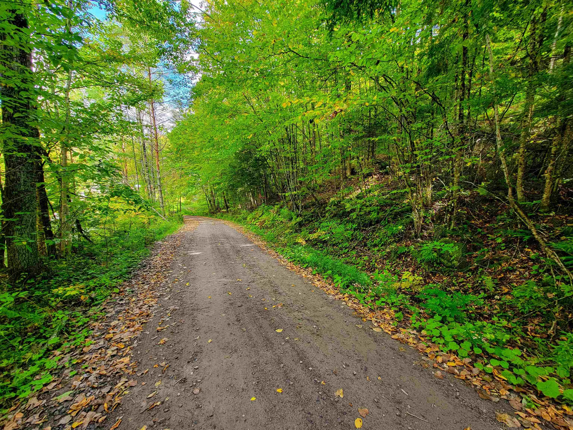 6 Meadowbrook Lane Chelsea VT 05038