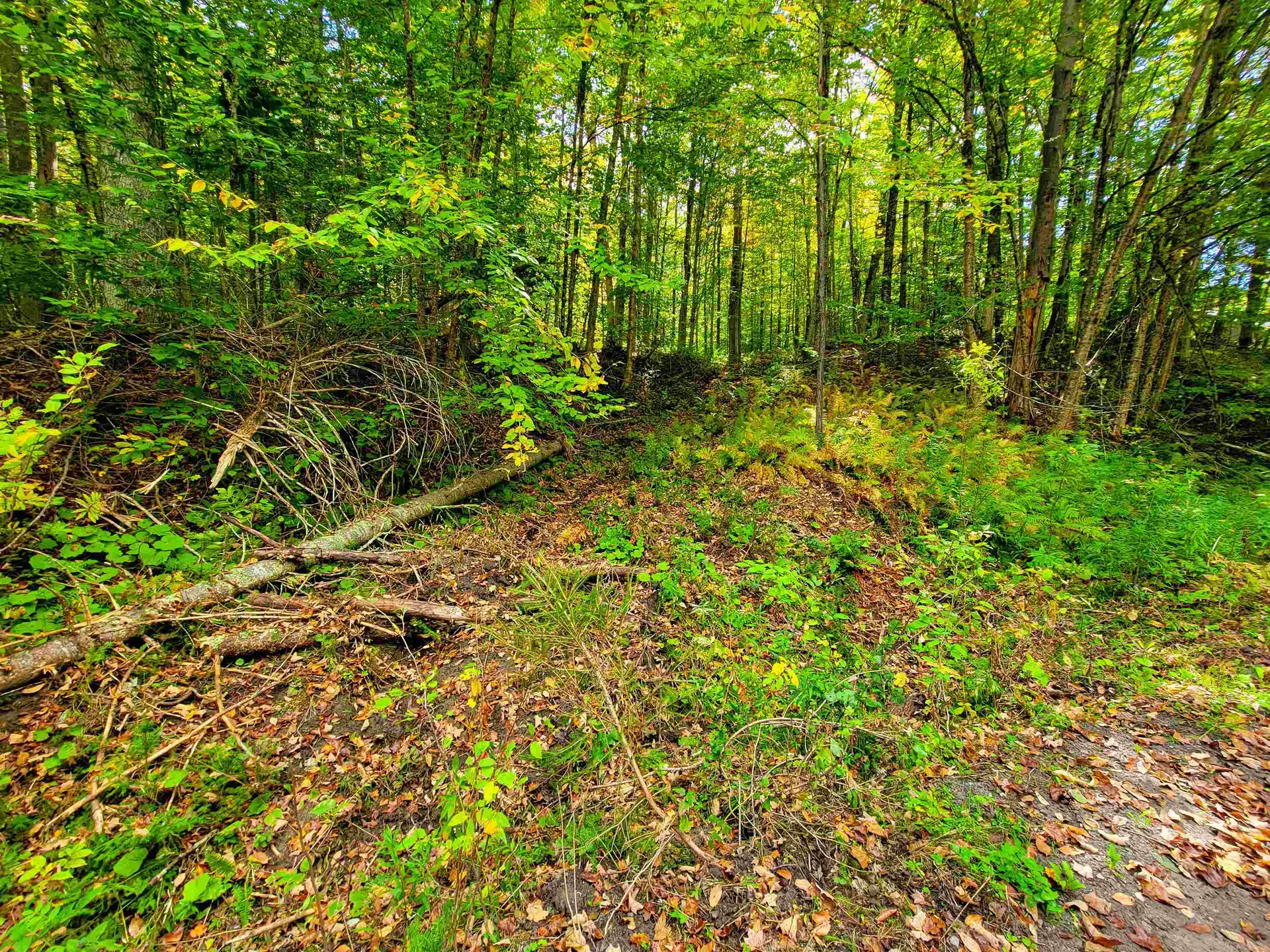 6 Meadowbrook Lane Chelsea VT 05038