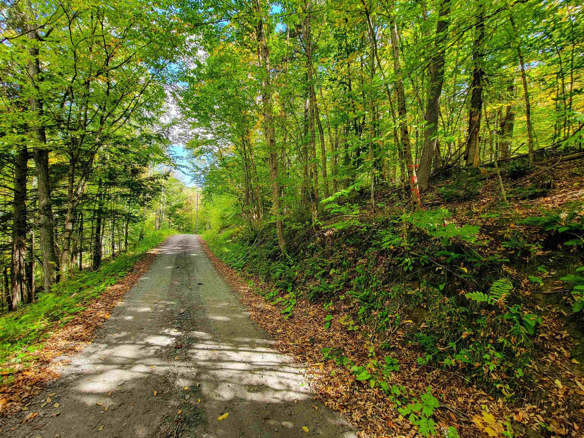 6 Meadowbrook Lane Chelsea VT 05038