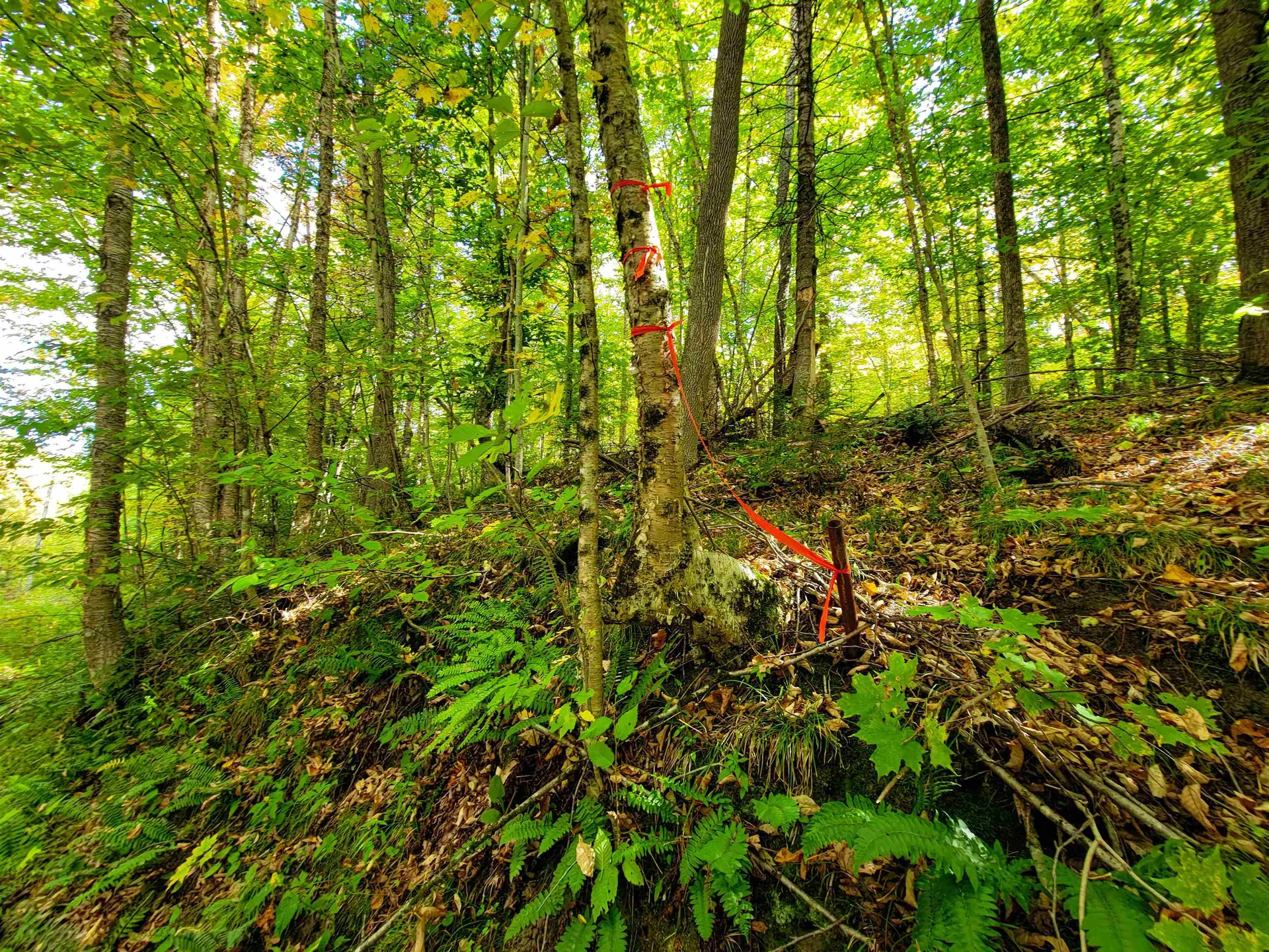 6 Meadowbrook Lane Chelsea VT 05038