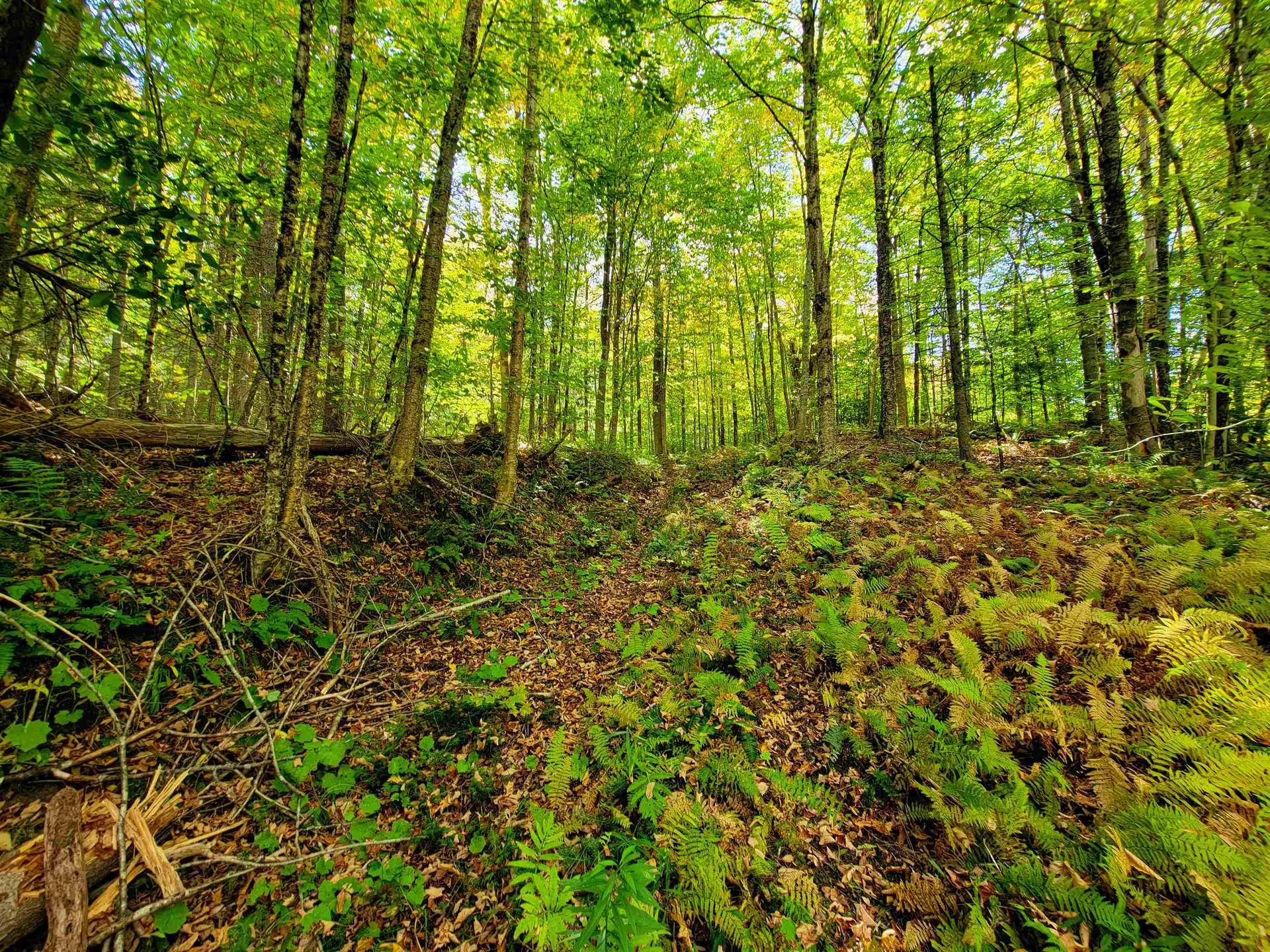 6 Meadowbrook Lane Chelsea VT 05038