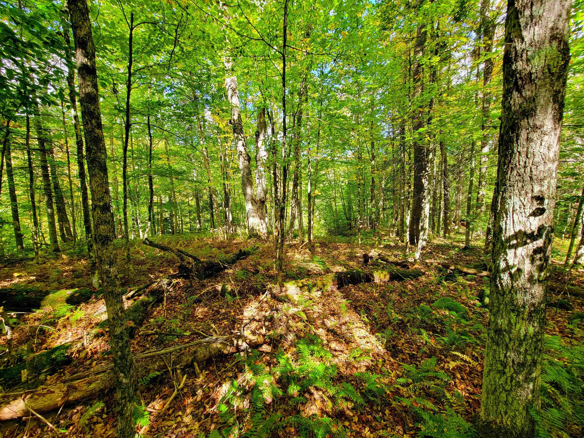 6 Meadowbrook Lane Chelsea VT 05038