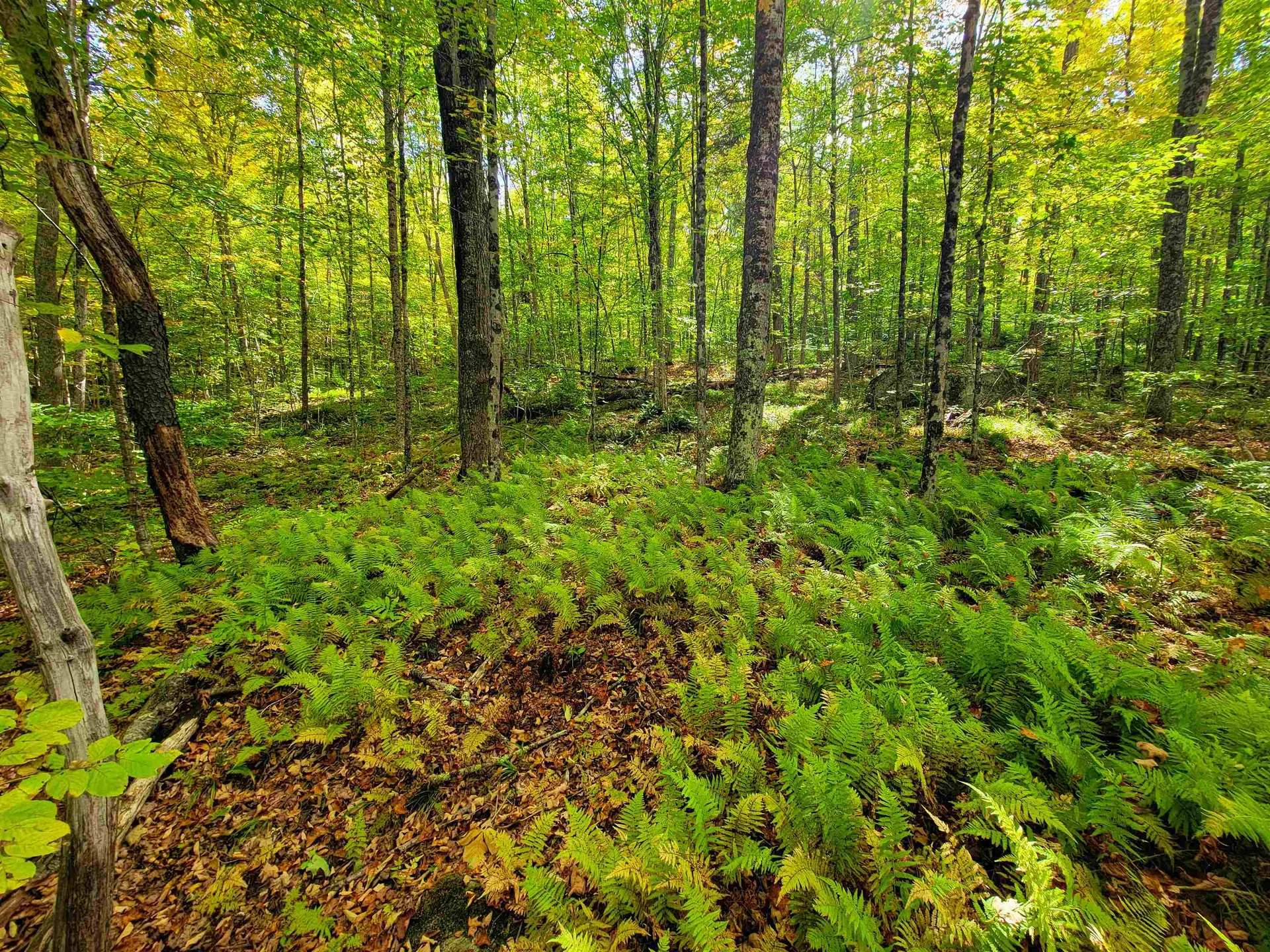 6 Meadowbrook Lane Chelsea VT 05038