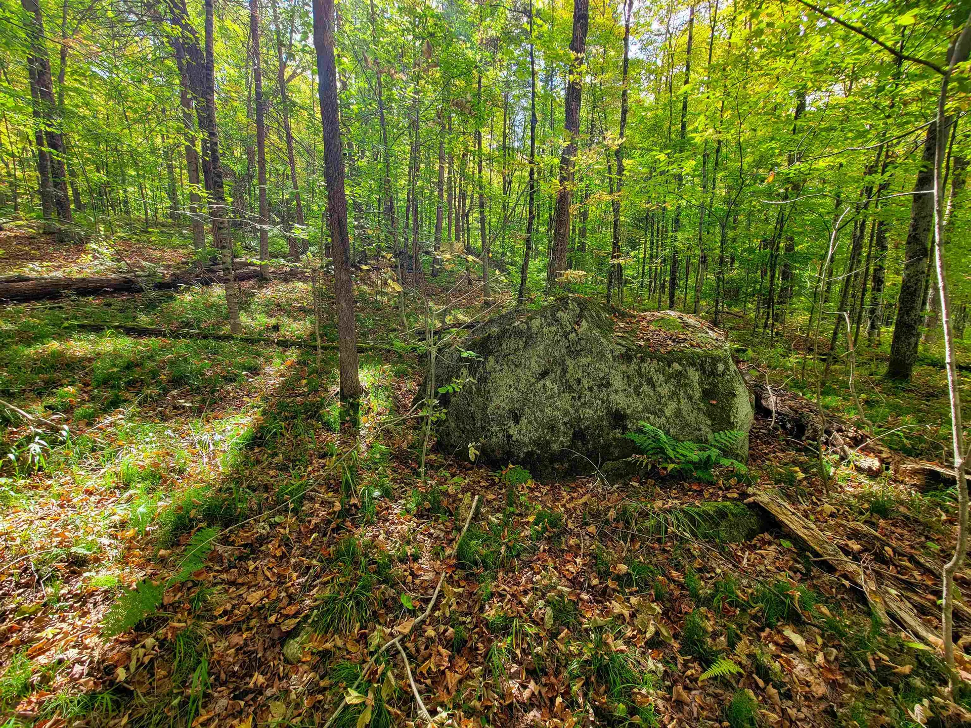 6 Meadowbrook Lane Chelsea VT 05038