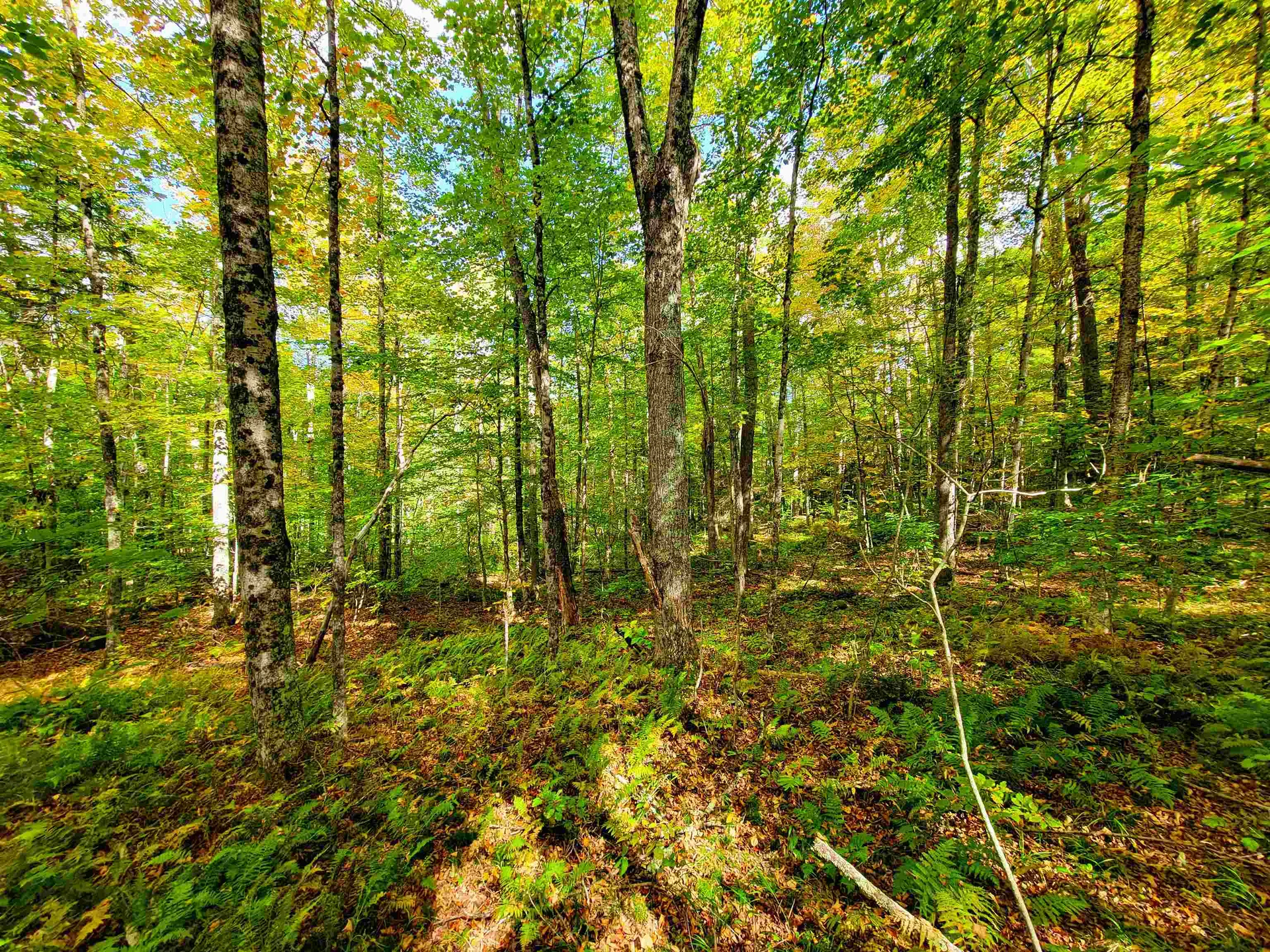 6 Meadowbrook Lane Chelsea VT 05038