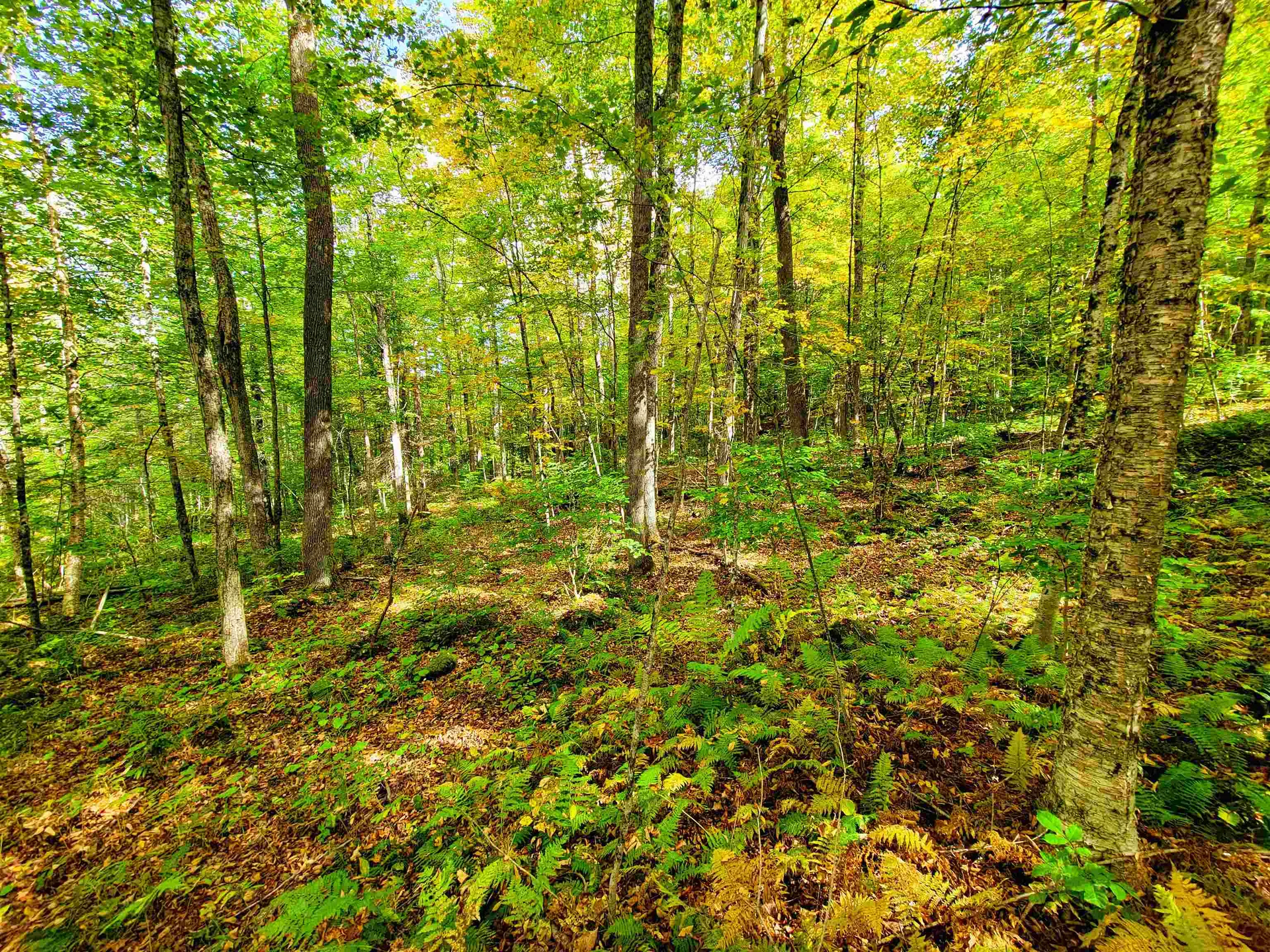 6 Meadowbrook Lane Chelsea VT 05038