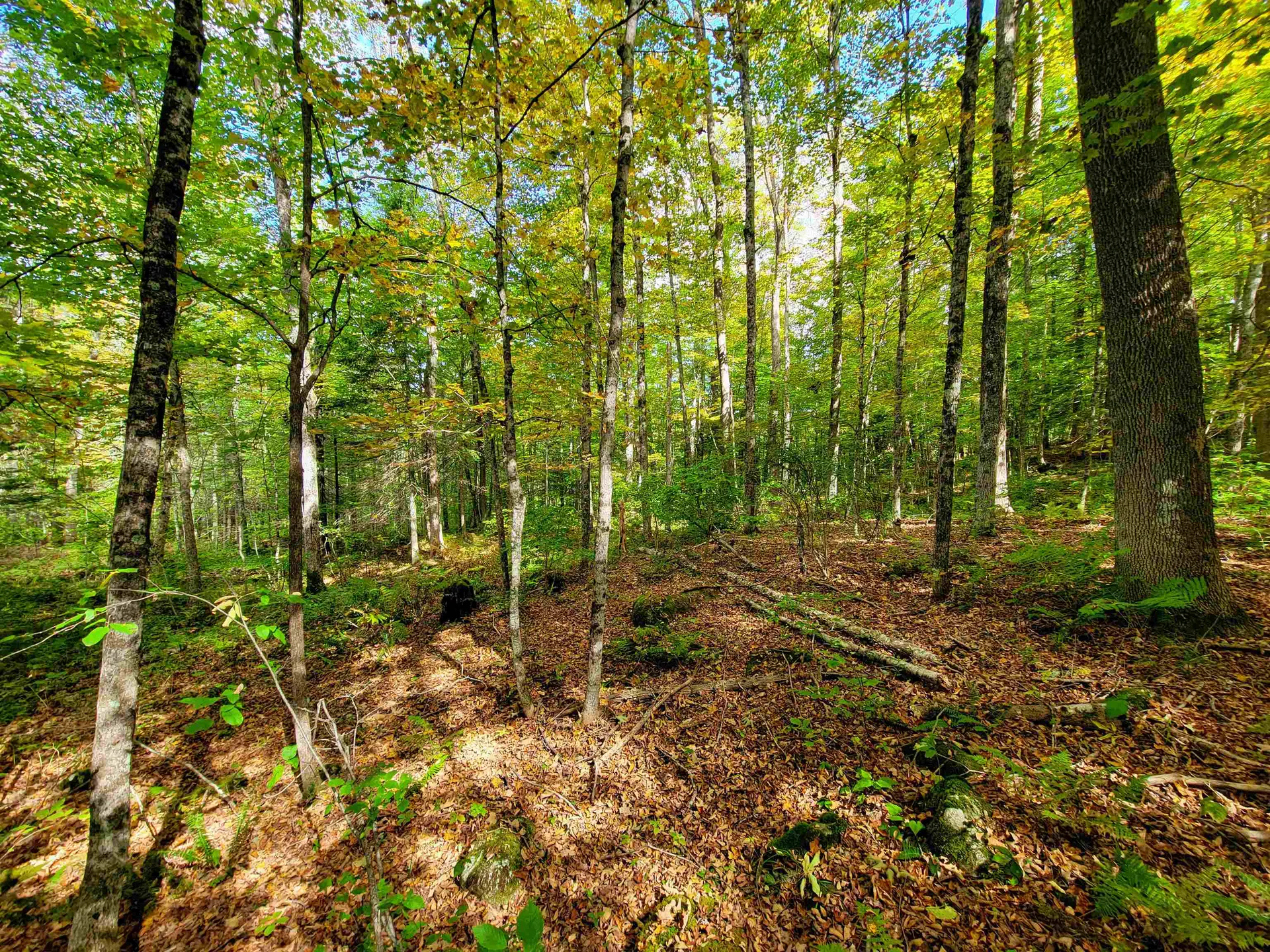 6 Meadowbrook Lane Chelsea VT 05038