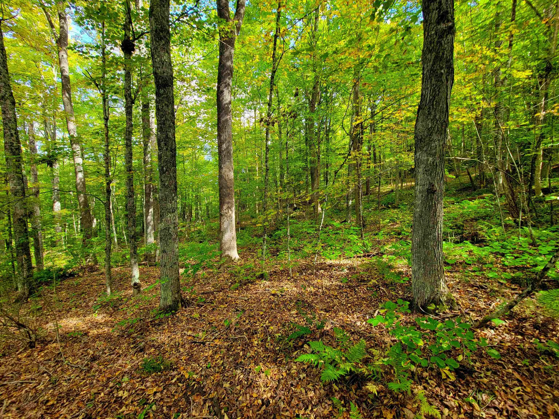 6 Meadowbrook Lane Chelsea VT 05038