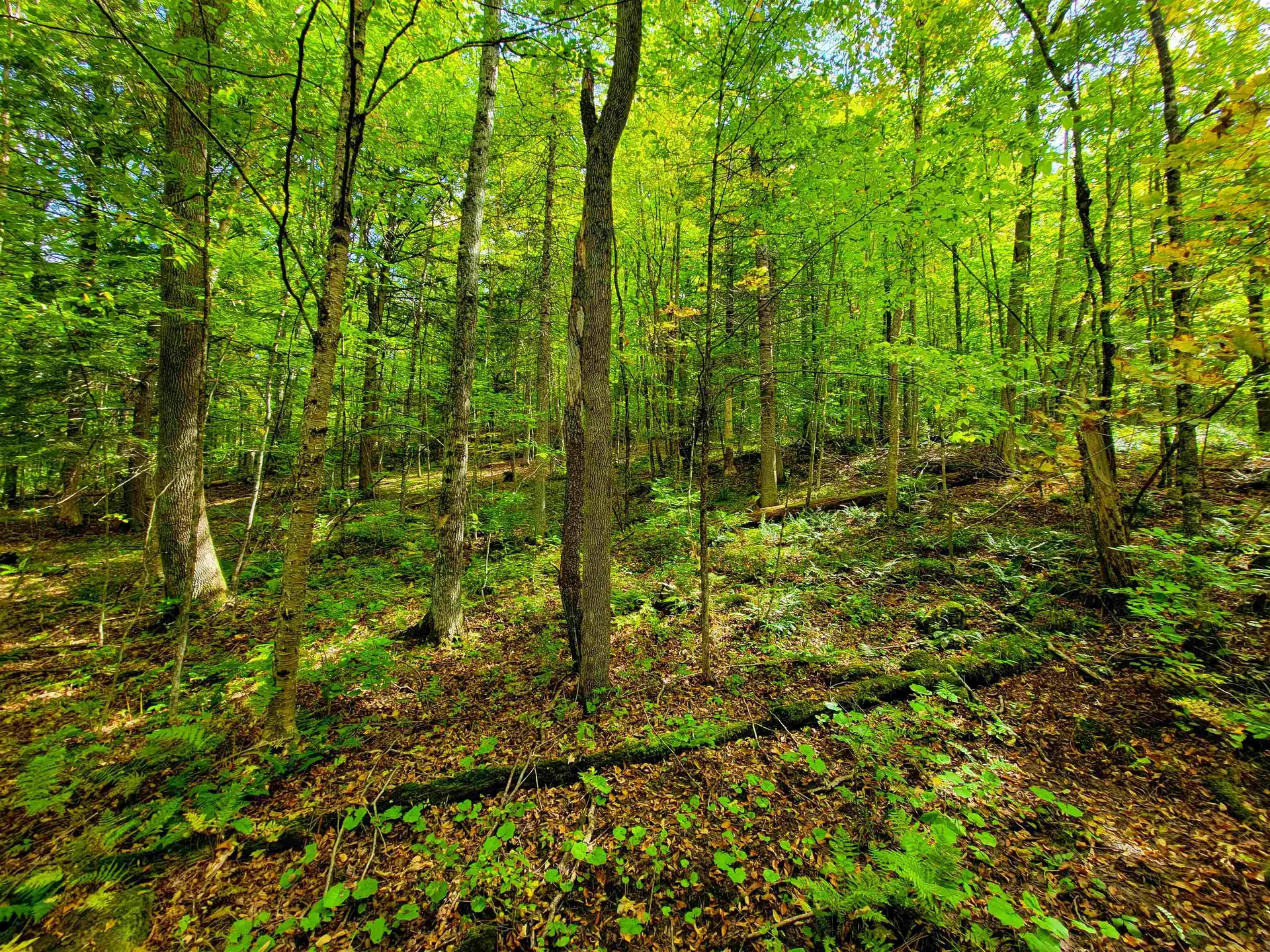 6 Meadowbrook Lane Chelsea VT 05038