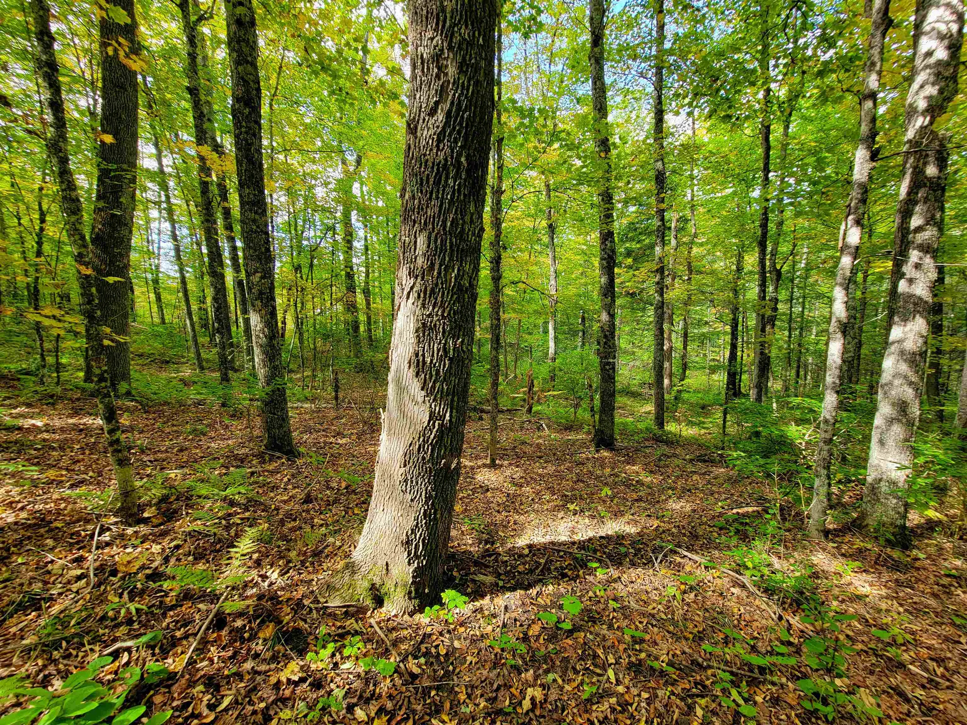 6 Meadowbrook Lane Chelsea VT 05038