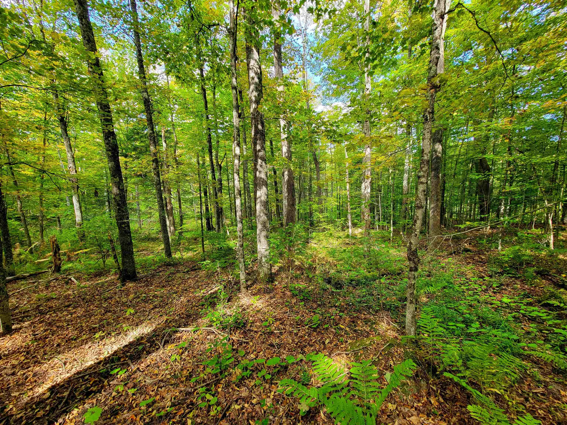 6 Meadowbrook Lane Chelsea VT 05038