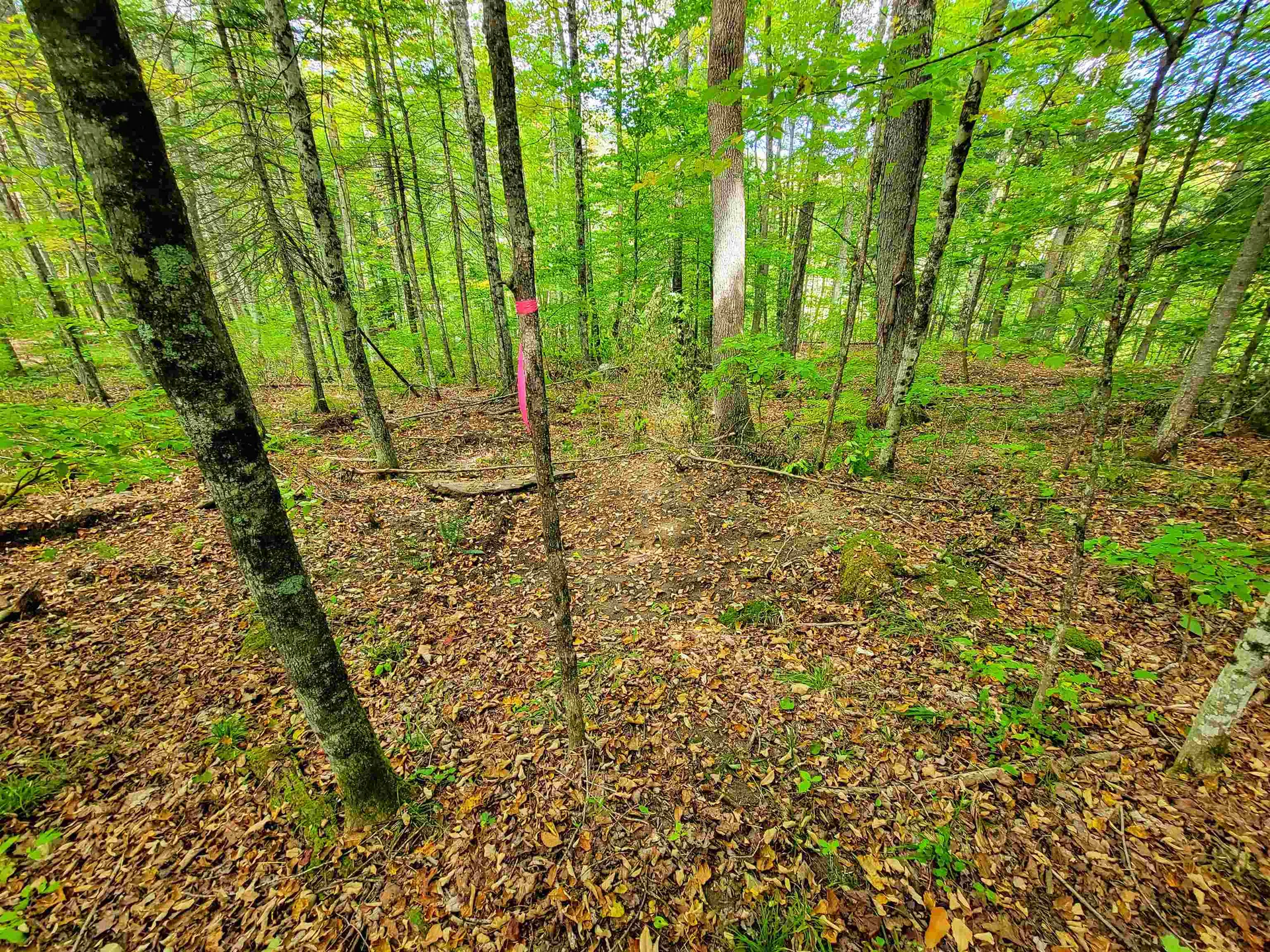 6 Meadowbrook Lane Chelsea VT 05038