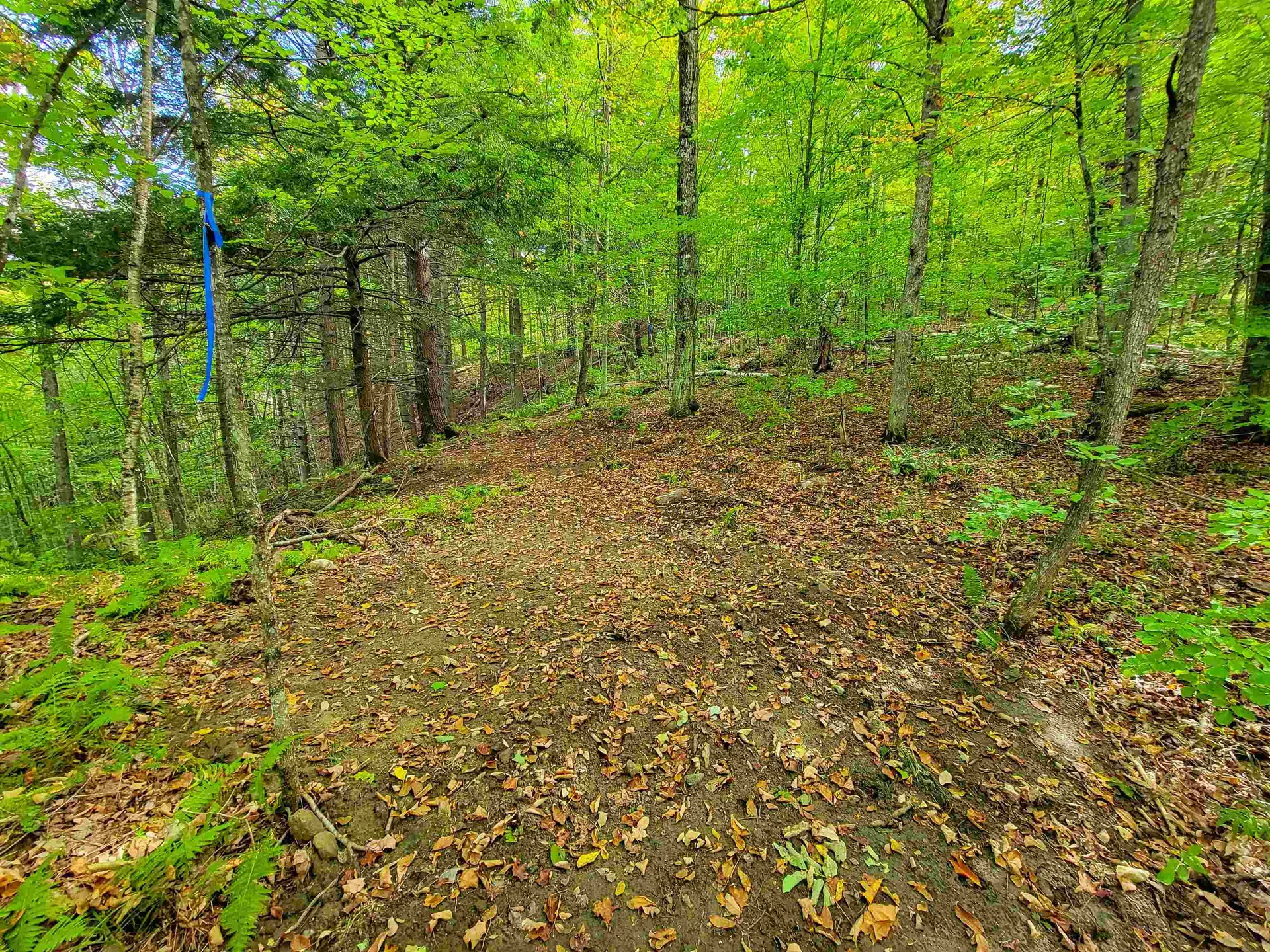 6 Meadowbrook Lane Chelsea VT 05038