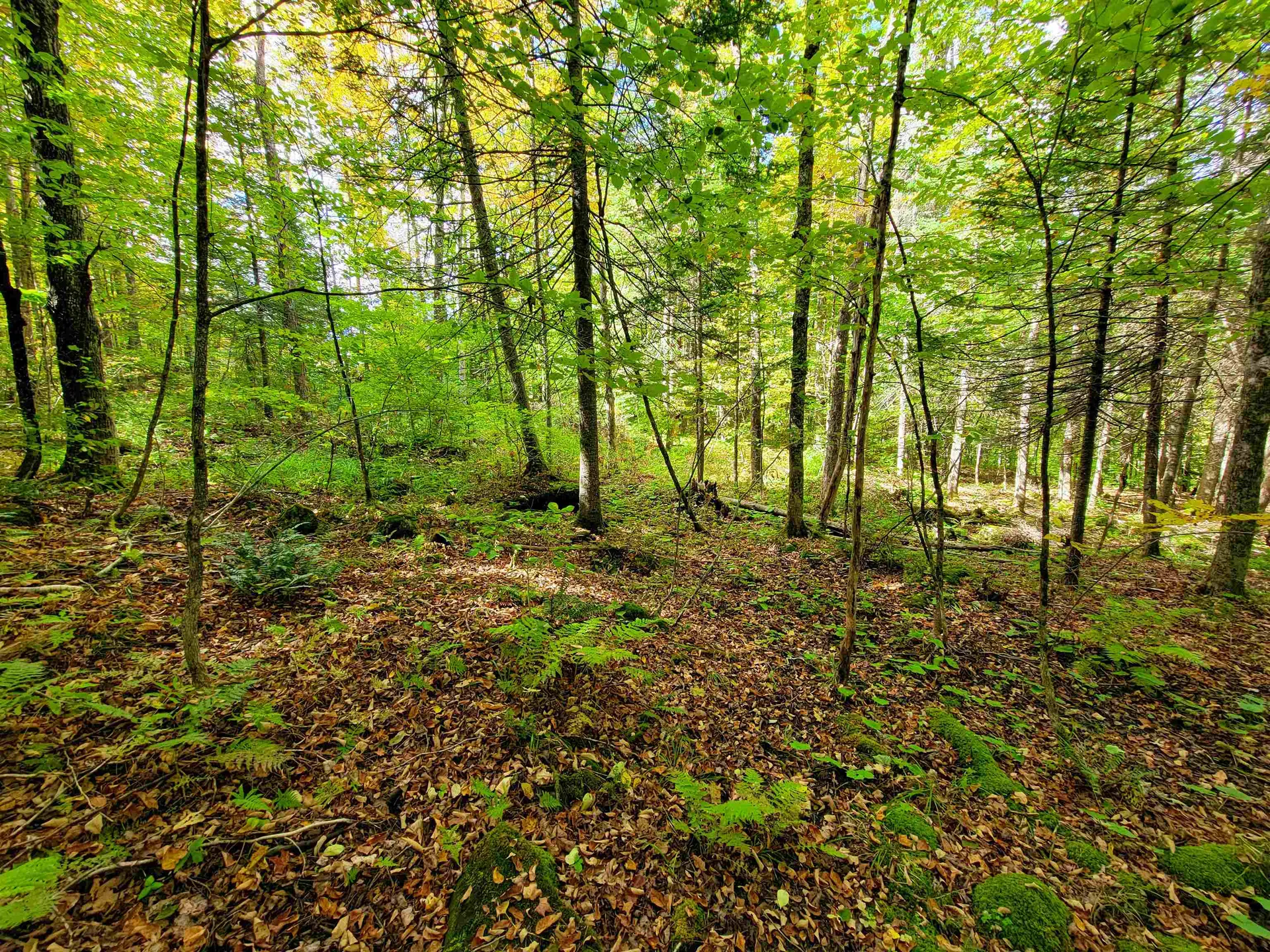 6 Meadowbrook Lane Chelsea VT 05038