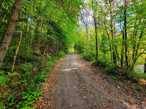 6 Meadowbrook Lane Chelsea VT 05038