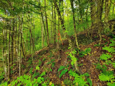 6 Meadowbrook Lane Chelsea VT 05038