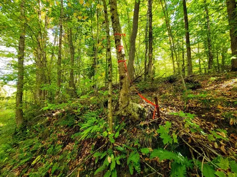 6 Meadowbrook Lane Chelsea VT 05038