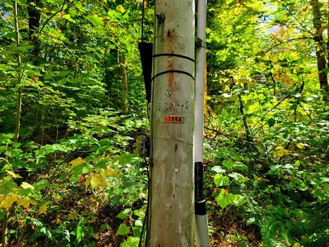 6 Meadowbrook Lane Chelsea VT 05038