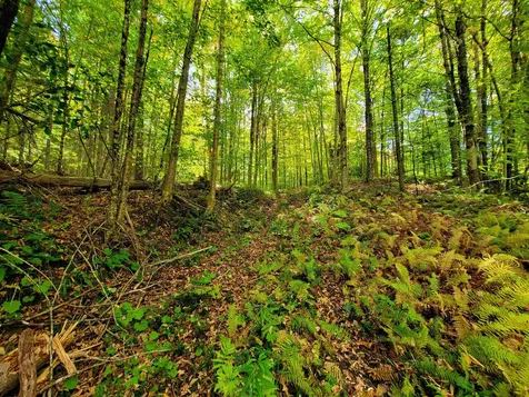 6 Meadowbrook Lane Chelsea VT 05038