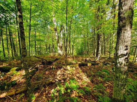 6 Meadowbrook Lane Chelsea VT 05038