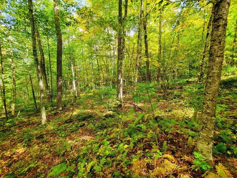 6 Meadowbrook Lane Chelsea VT 05038