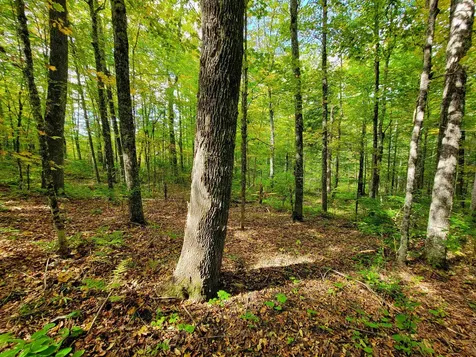 6 Meadowbrook Lane Chelsea VT 05038