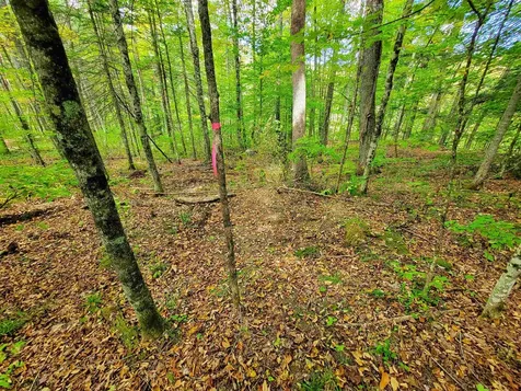 6 Meadowbrook Lane Chelsea VT 05038