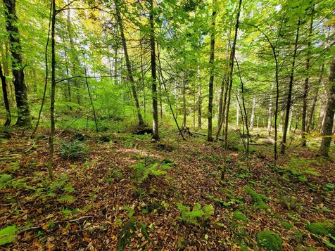 6 Meadowbrook Lane Chelsea VT 05038