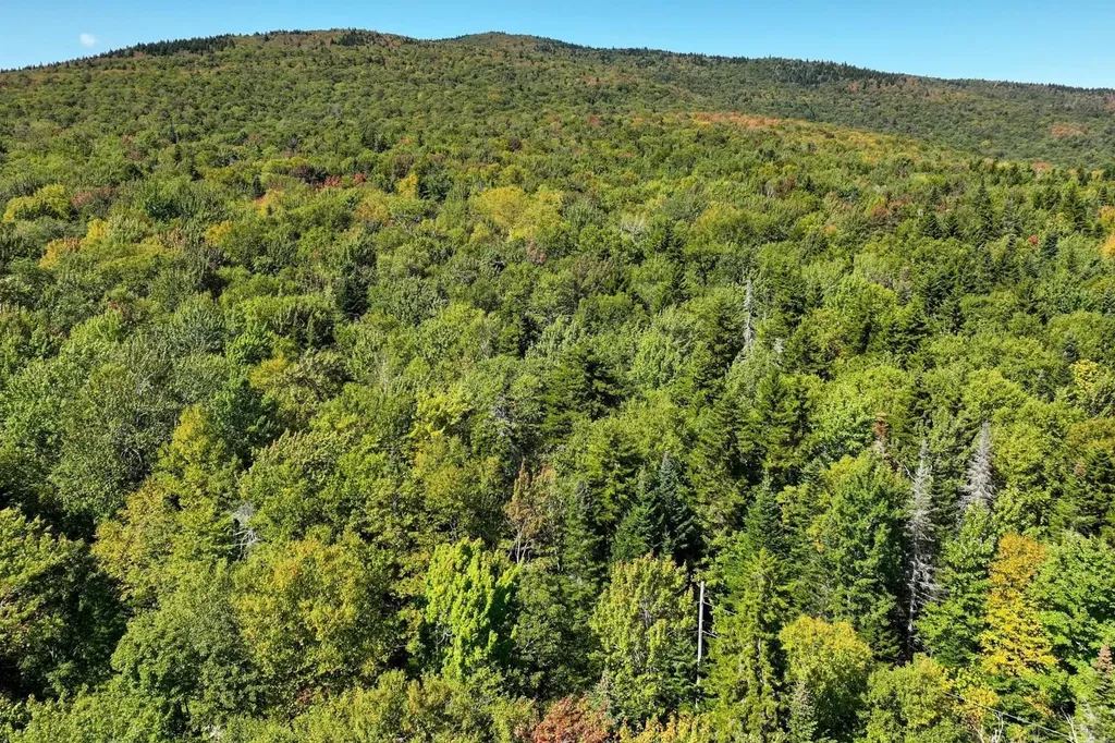 00 Old Weston Mountain Road Ludlow VT 05149
