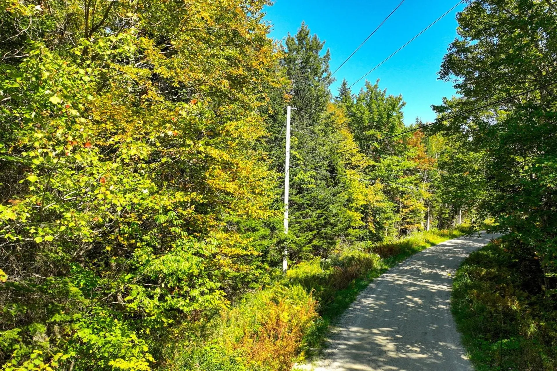 00 Old Weston Mountain Road Ludlow VT 05149