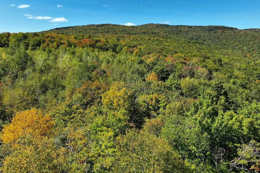 00 Old Weston Mountain Road Ludlow VT 05149