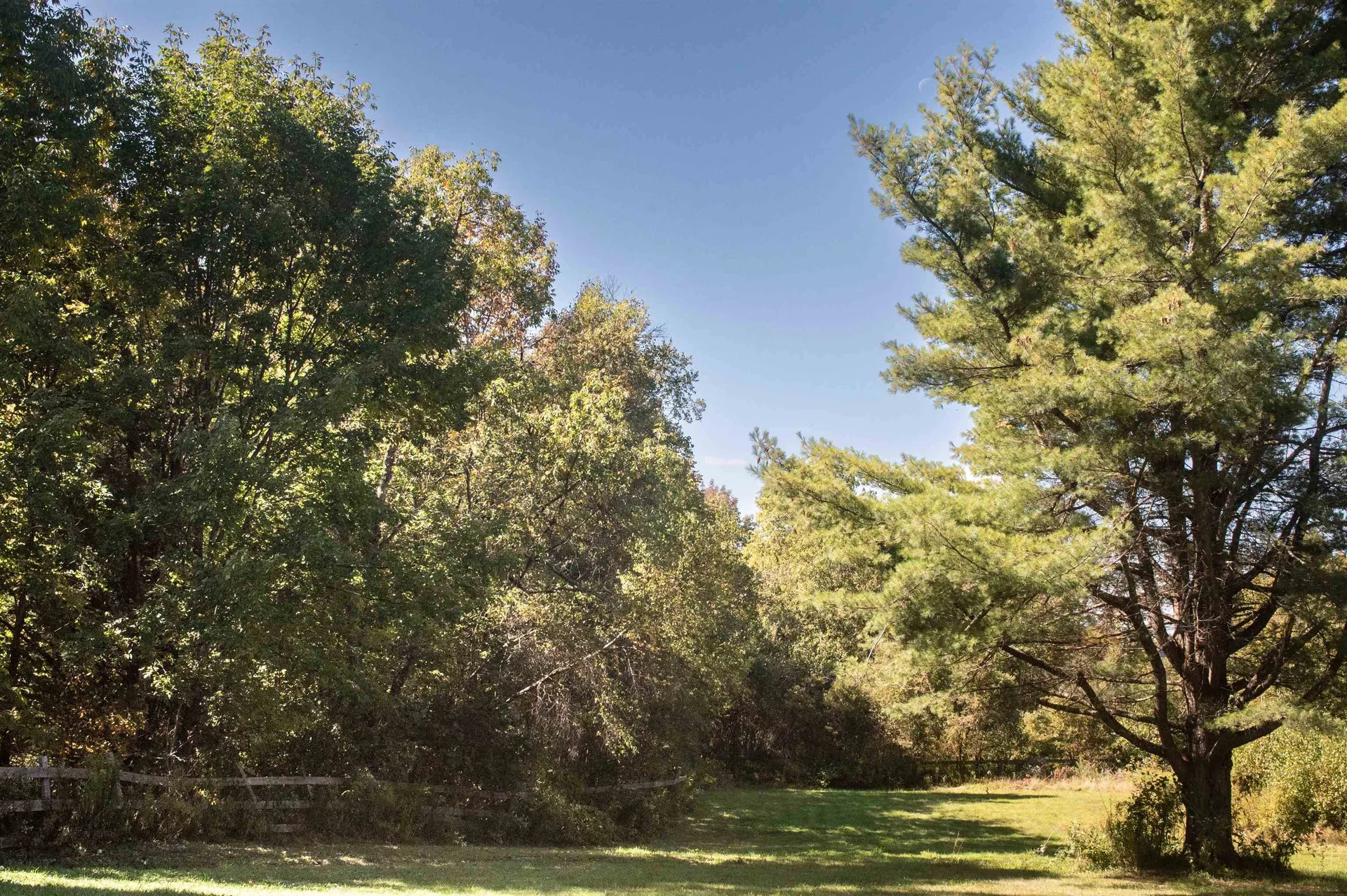 305 Getz Road Williamstown VT 05679