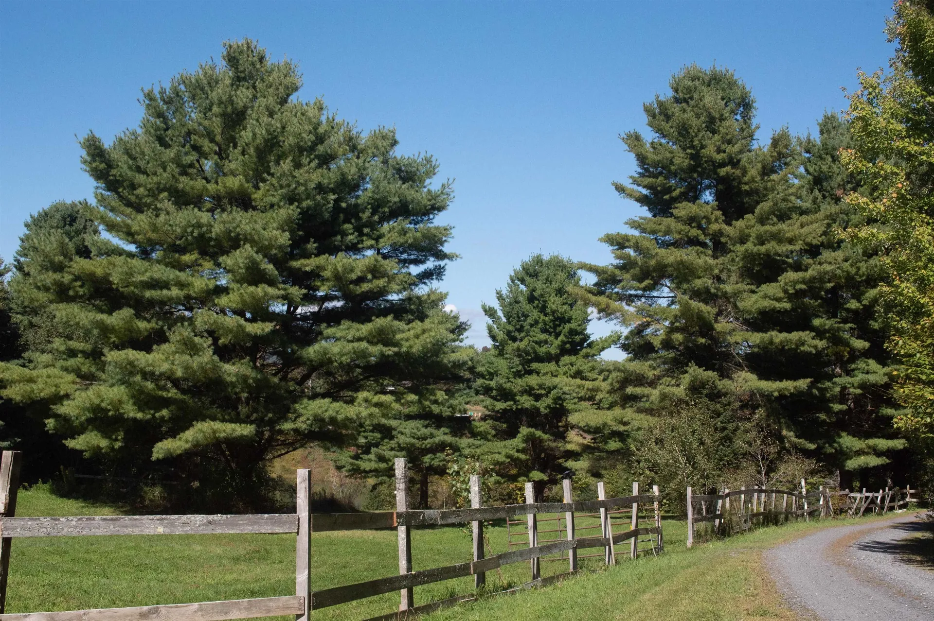 305 Getz Road Williamstown VT 05679