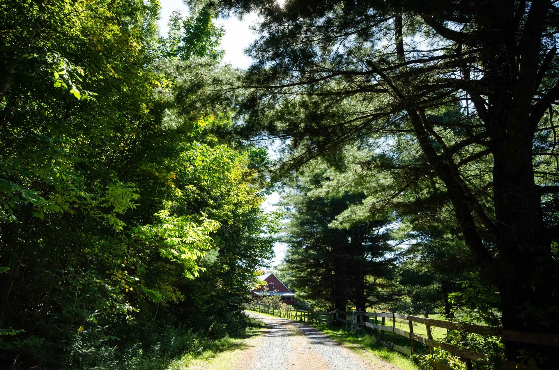 305 Getz Road Williamstown VT 05679