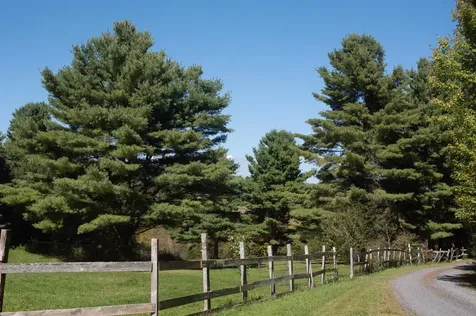 305 Getz Road Williamstown VT 05679