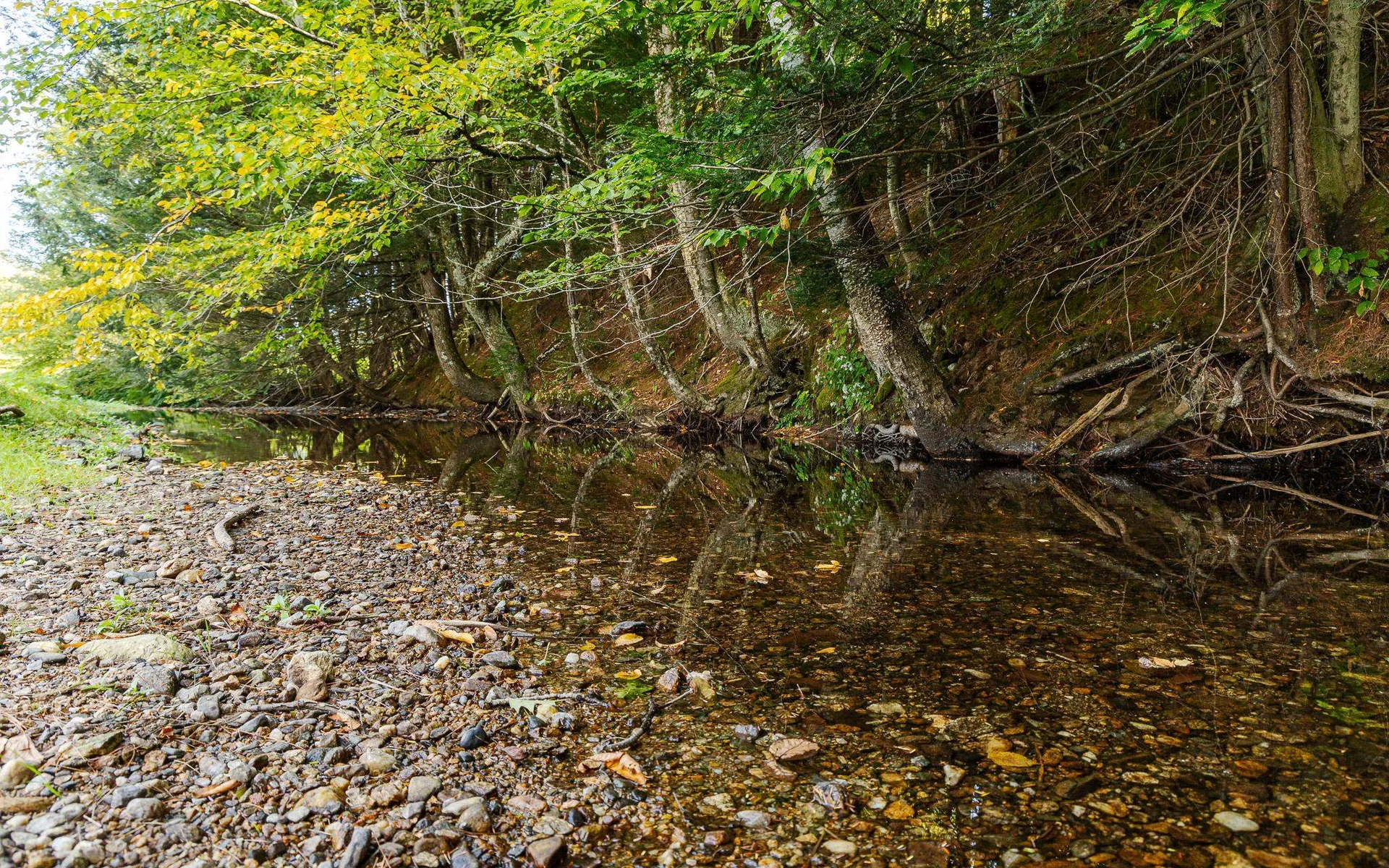 110 Arch Street Keene NH 03431