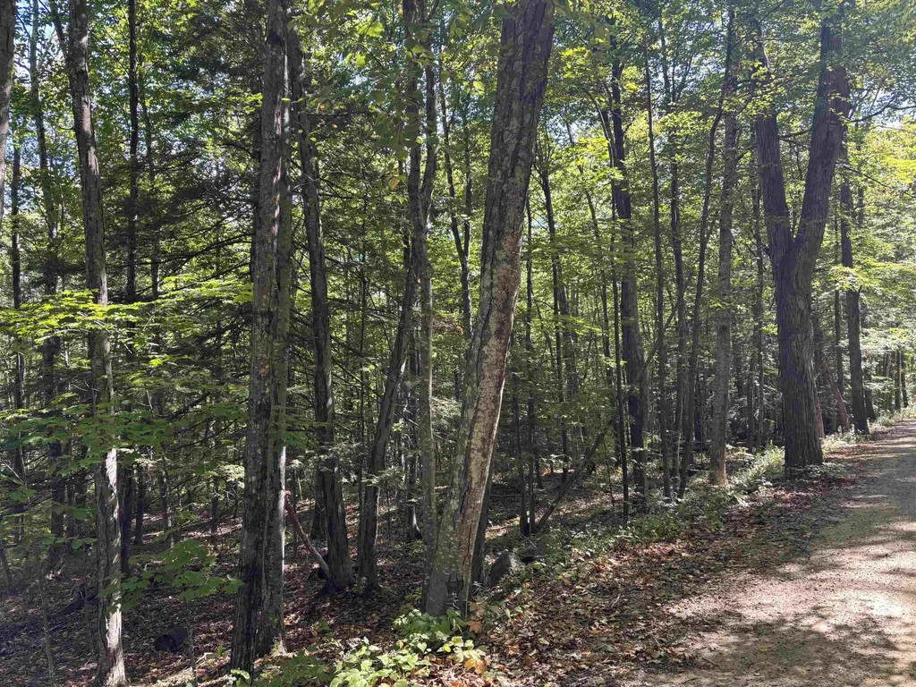 28-1 Range Road Strafford NH 03884