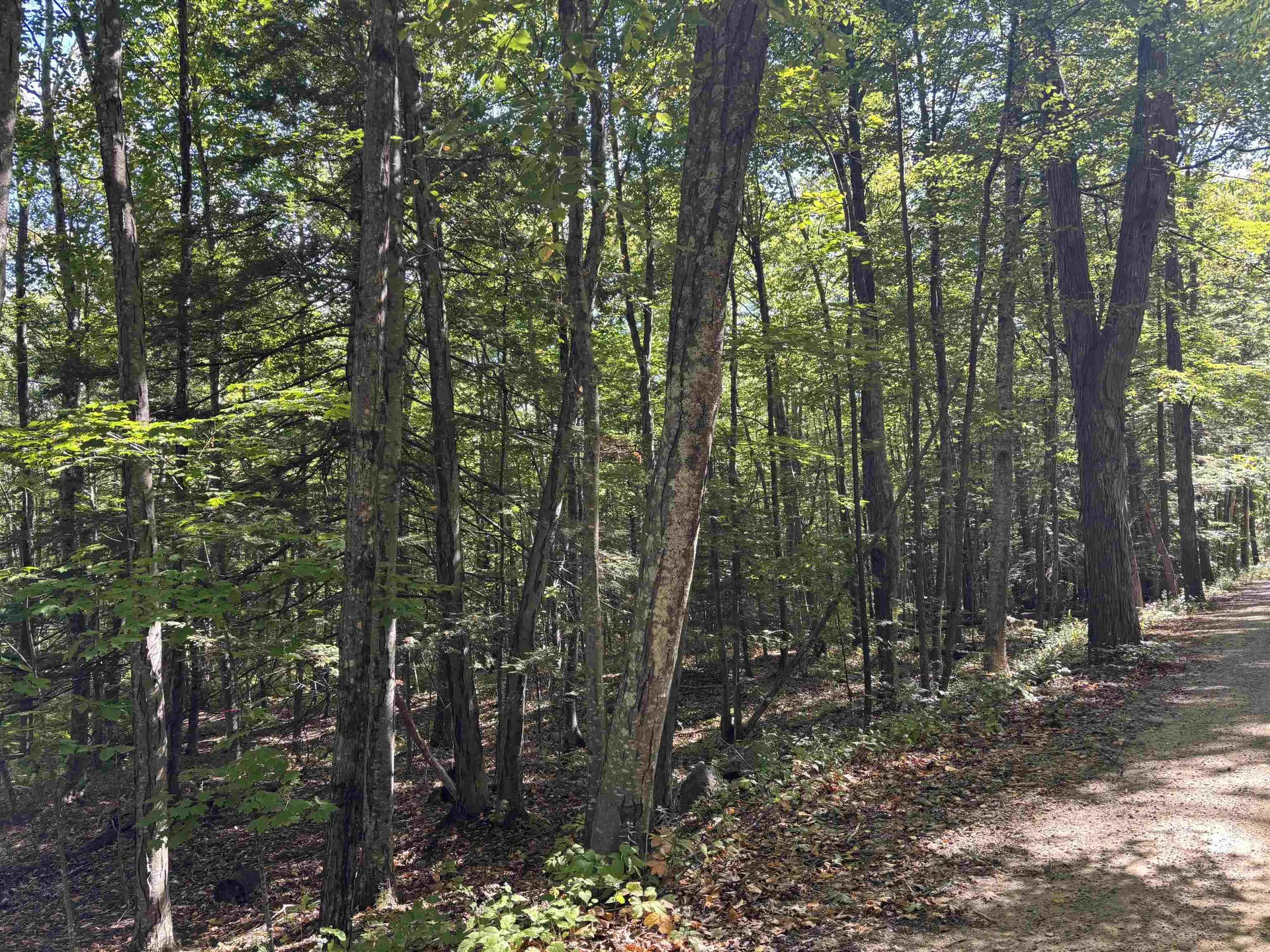 28-1 Range Road Strafford NH 03884