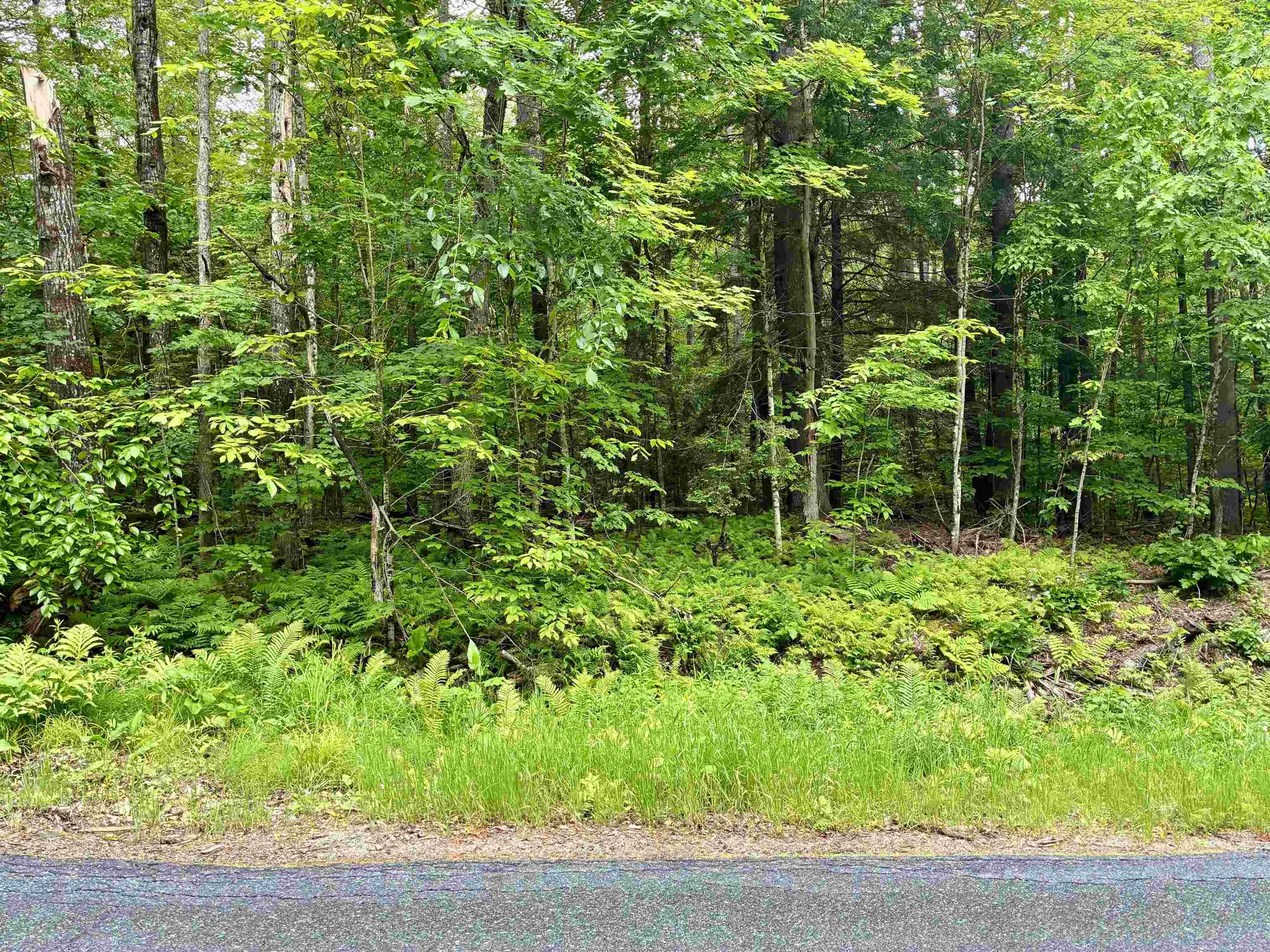 Lot 6 North Skinny Ridge Road Littleton NH 03561