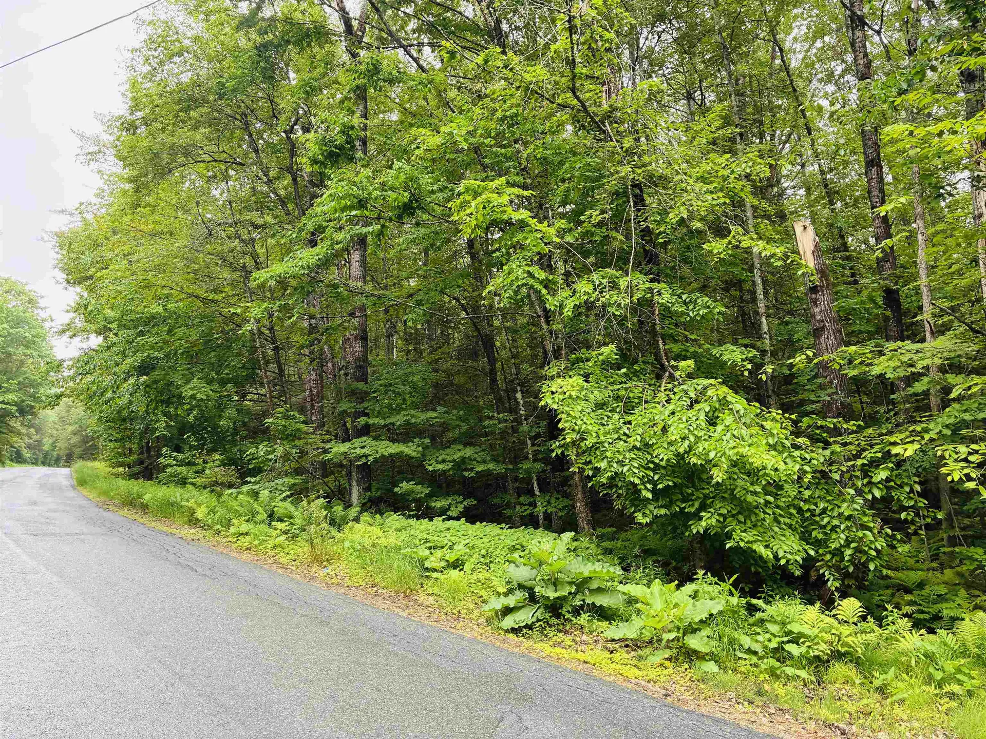 Lot 6 North Skinny Ridge Road Littleton NH 03561