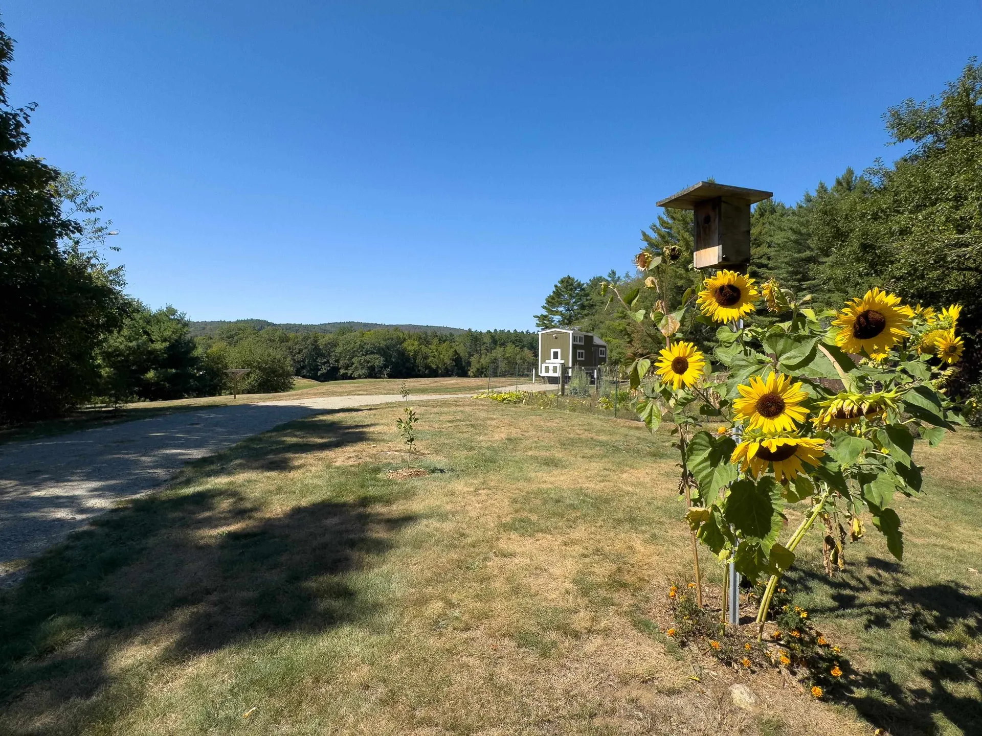 382 Buffalo Road Wentworth NH 03282
