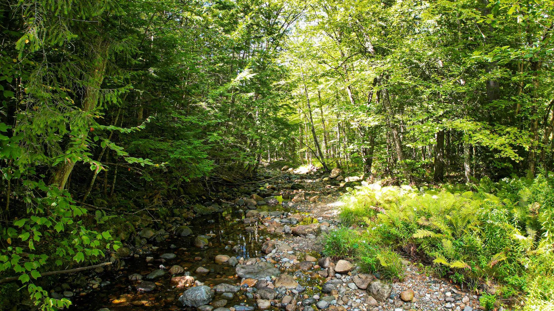 0 Camp Road Plainfield NH 03781