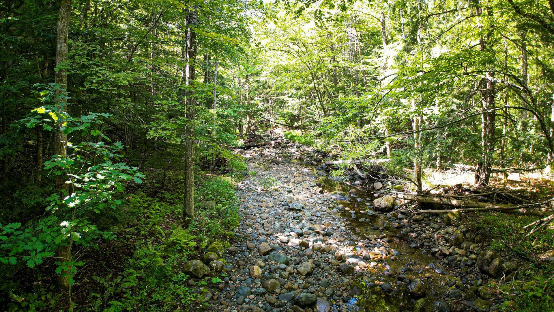 0 Camp Road Plainfield NH 03781