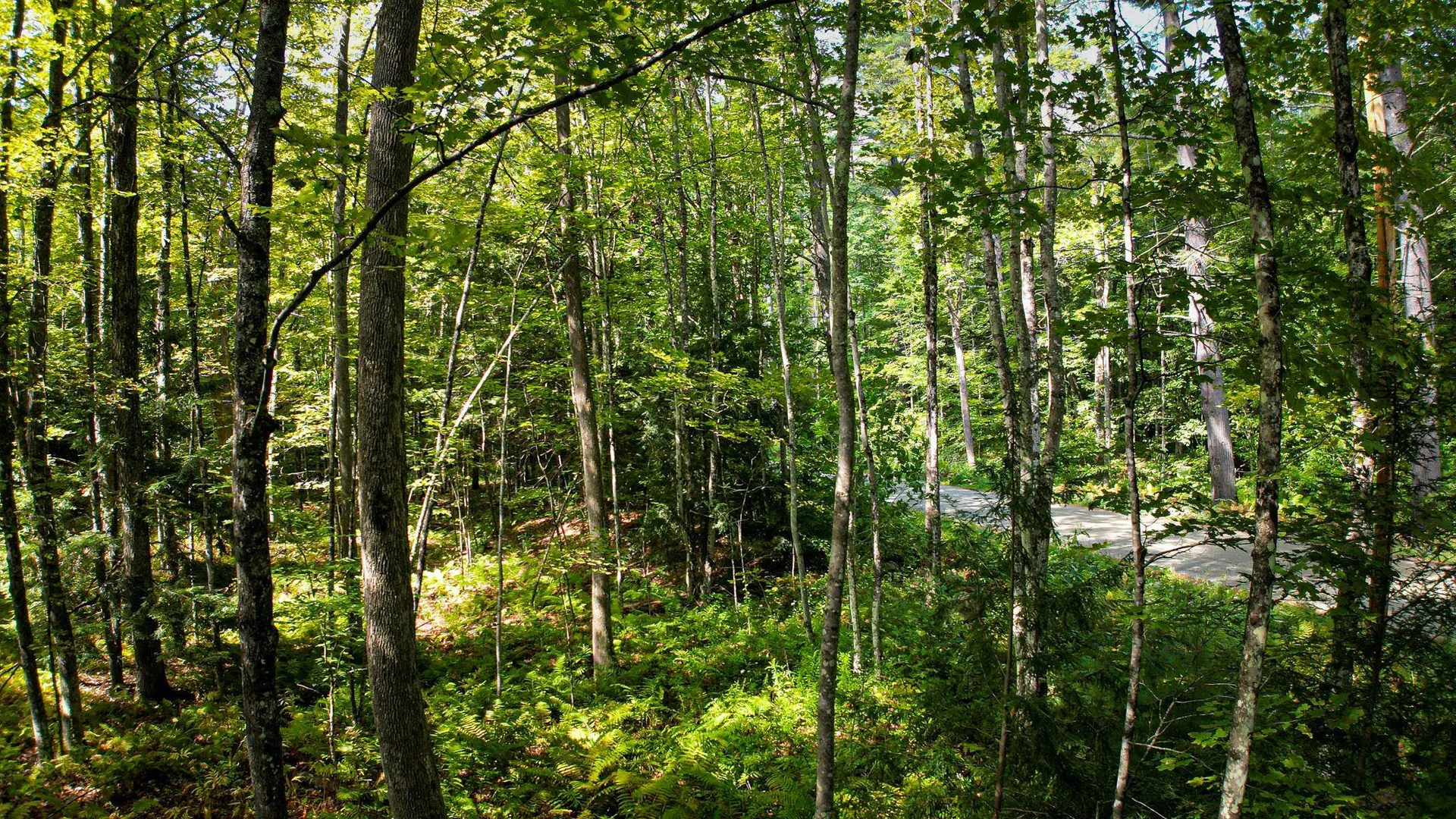 0 Camp Road Plainfield NH 03781