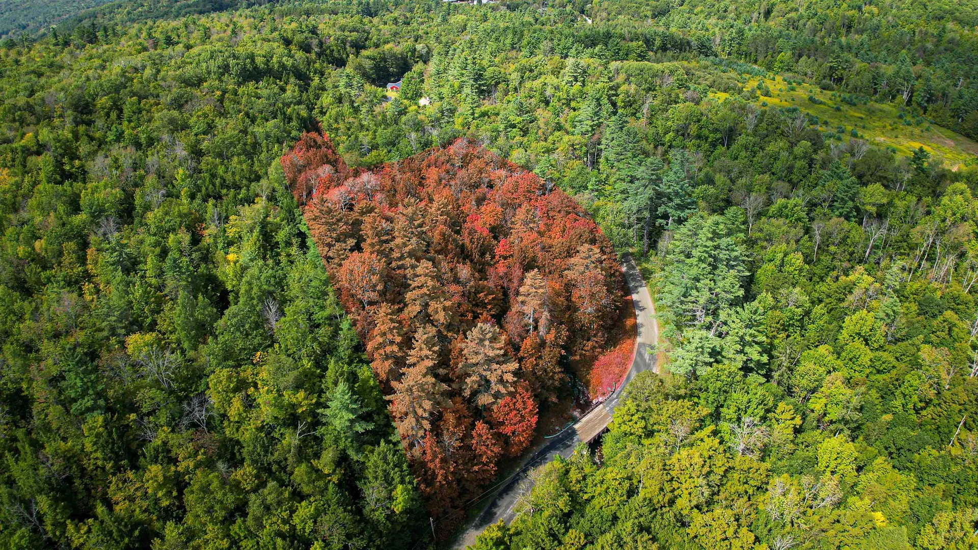 0 Camp Road Plainfield NH 03781